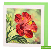 Hibiscus Flower Quilling Greeting Card - Unique Dedicated Handmade/Heartmade Art. Design Greeting Card for all occasion by GREENHANDSHAKE (Copy)