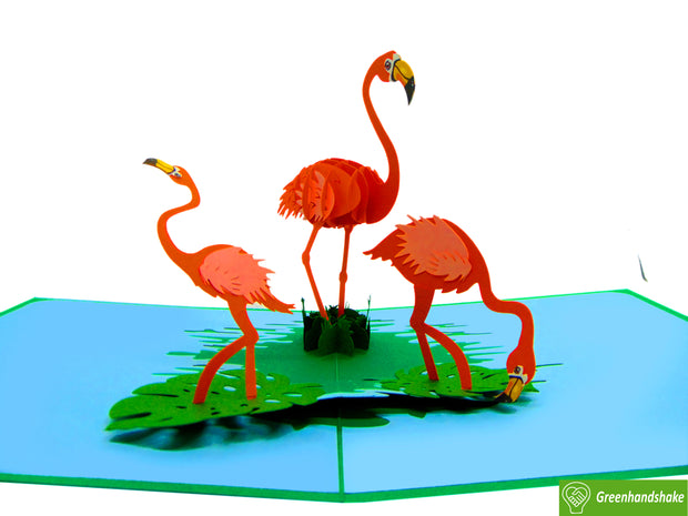 Flamingo, Pop Up Card, 3D Popup Greeting Cards - Unique Dedicated Handmade/Heartmade Art. Design Greeting Card for all occasion